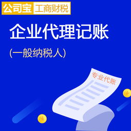 專(zhuān)業(yè)代理記賬服務(wù) 公司寶助您輕松應(yīng)對(duì)工商財(cái)稅事務(wù)
